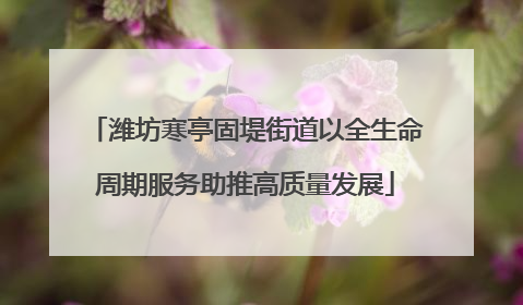 潍坊寒亭固堤街道以全生命周期服务助推高质量发展