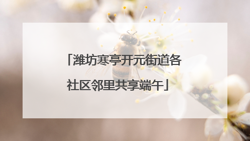 潍坊寒亭开元街道各社区邻里共享端午