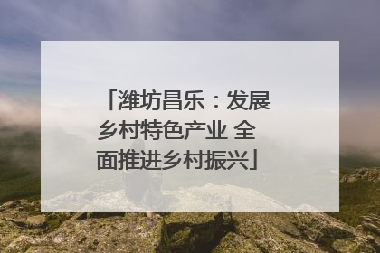 潍坊昌乐：发展乡村特色产业 全面推进乡村振兴