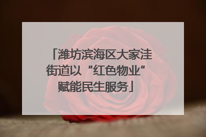 潍坊滨海区大家洼街道以“红色物业”赋能民生服务