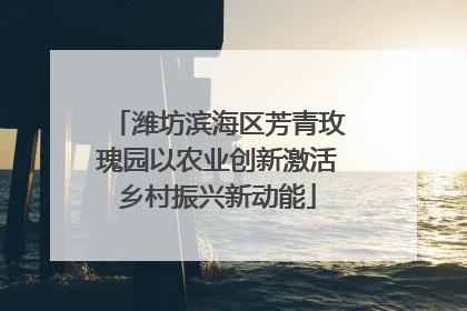 潍坊滨海区芳青玫瑰园以农业创新激活乡村振兴新动能