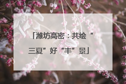 潍坊高密：共绘“三夏”好“丰”景