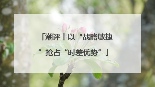 潮评丨以“战略敏捷”抢占“时差优势”