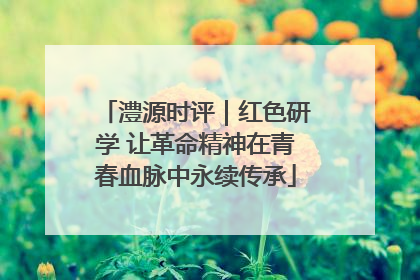 澧源时评｜红色研学 让革命精神在青春血脉中永续传承