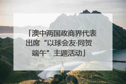 澳中两国政商界代表出席“以球会友·同贺端午”主题活动