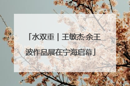 水双重｜王敏杰·余王波作品展在宁海启幕