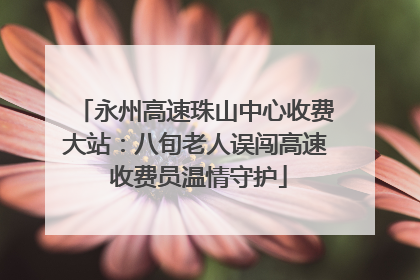 永州高速珠山中心收费大站：八旬老人误闯高速 收费员温情守护