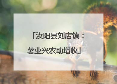 汝阳县刘店镇：薯业兴农助增收