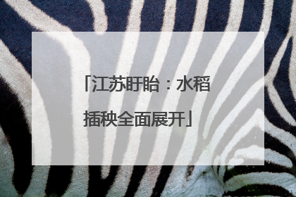 江苏盱眙：水稻插秧全面展开