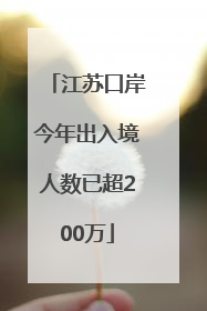 江苏口岸今年出入境人数已超200万