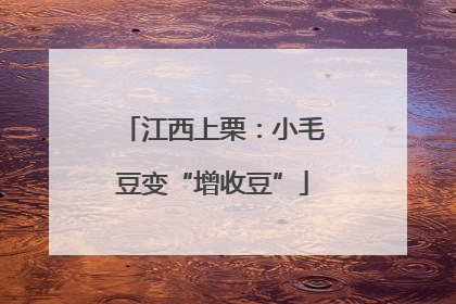 江西上栗：小毛豆变“增收豆”