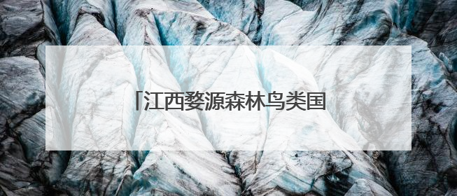 江西婺源森林鸟类国家级自然保护区：百鸟鸣青山 翩跹入画屏