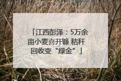 江西彭泽：5万余亩小麦喜开镰 秸秆回收变“绿金”