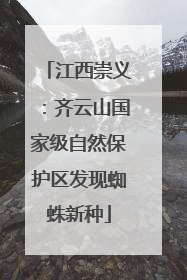 江西崇义：齐云山国家级自然保护区发现蜘蛛新种