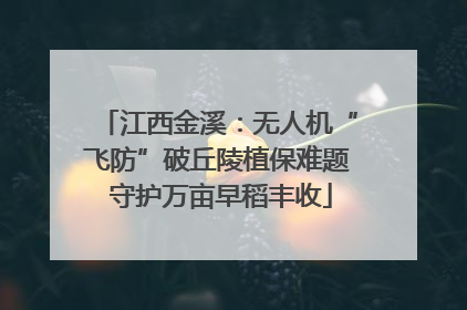 江西金溪：无人机“飞防”破丘陵植保难题 守护万亩早稻丰收