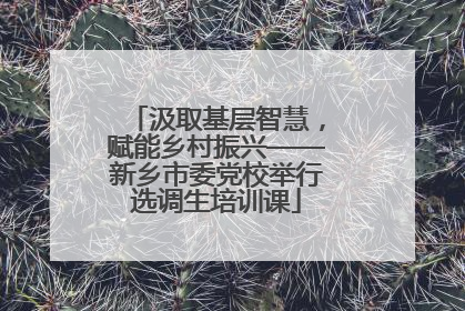 汲取基层智慧，赋能乡村振兴——新乡市委党校举行选调生培训课