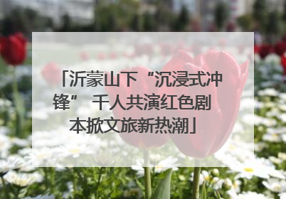 沂蒙山下“沉浸式冲锋” 千人共演红色剧本掀文旅新热潮