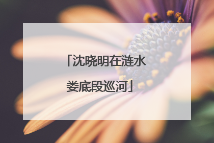 沈晓明在涟水娄底段巡河