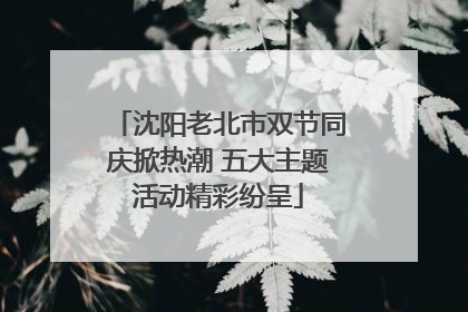 沈阳老北市双节同庆掀热潮 五大主题活动精彩纷呈