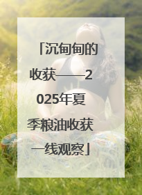 沉甸甸的收获——2025年夏季粮油收获一线观察