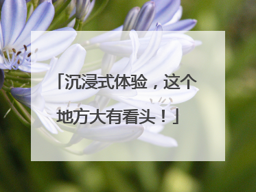 沉浸式体验，这个地方大有看头！