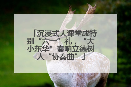 沉浸式大课堂成特别“六一”礼，“大小东华”奏响立德树人“协奏曲”