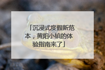 沉浸式度假新范本，黄阳小镇的体验指南来了