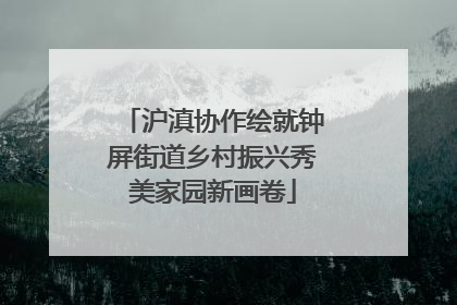 沪滇协作绘就钟屏街道乡村振兴秀美家园新画卷