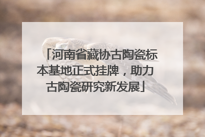 河南省藏协古陶瓷标本基地正式挂牌，助力古陶瓷研究新发展