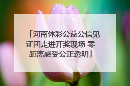 河南体彩公益公信见证团走进开奖现场 零距离感受公正透明