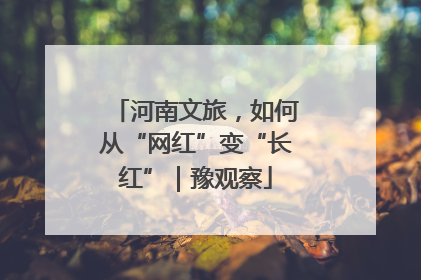 河南文旅，如何从“网红”变“长红”｜豫观察