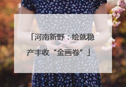 河南新野：绘就稳产丰收“金画卷”