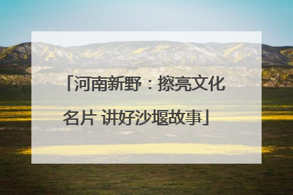 河南新野：擦亮文化名片 讲好沙堰故事