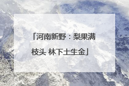 河南新野：梨果满枝头 林下土生金