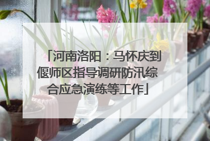 河南洛阳：马怀庆到偃师区指导调研防汛综合应急演练等工作