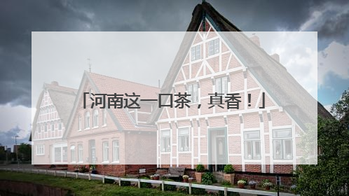 河南这一口茶，真香！