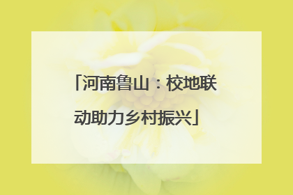 河南鲁山：校地联动助力乡村振兴