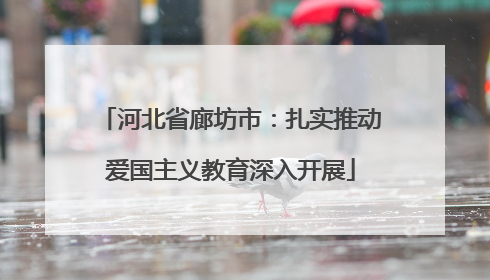 河北省廊坊市：扎实推动爱国主义教育深入开展