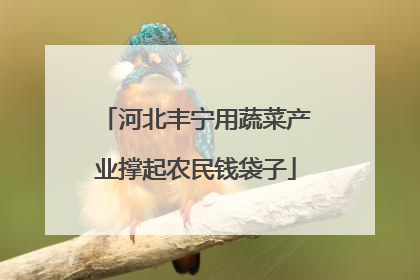 河北丰宁用蔬菜产业撑起农民钱袋子