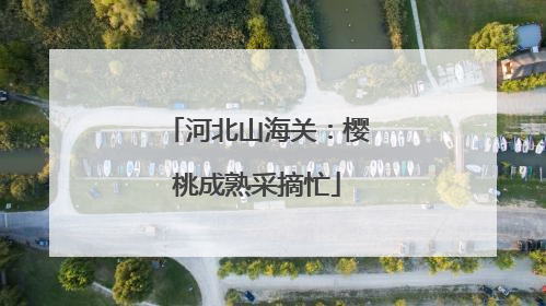 河北山海关：樱桃成熟采摘忙