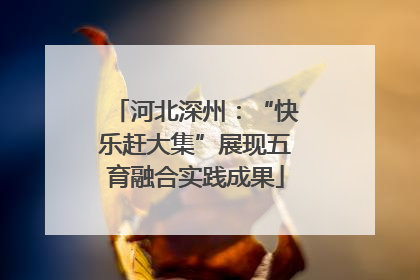河北深州：“快乐赶大集”展现五育融合实践成果