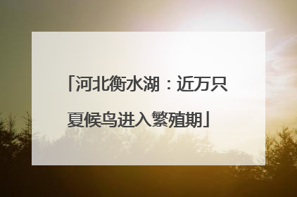 河北衡水湖：近万只夏候鸟进入繁殖期