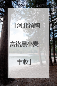 河北馆陶富铬黑小麦丰收