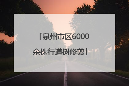 泉州市区6000余株行道树修剪