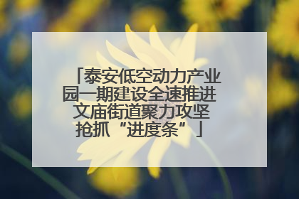 泰安低空动力产业园一期建设全速推进 文庙街道聚力攻坚抢抓“进度条”