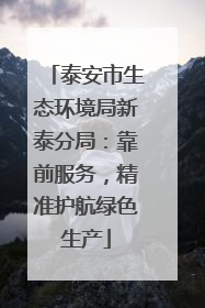 泰安市生态环境局新泰分局：靠前服务，精准护航绿色生产
