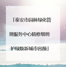 泰安市园林绿化管理服务中心精修细剪护绿焕新城市容颜