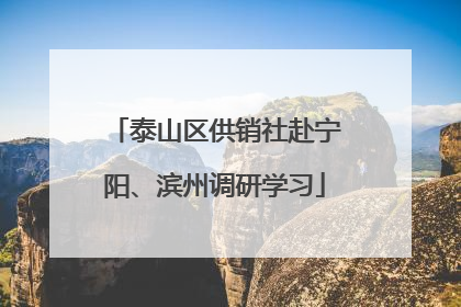 泰山区供销社赴宁阳、滨州调研学习
