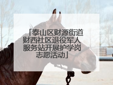 泰山区财源街道财西社区退役军人服务站开展护学岗志愿活动