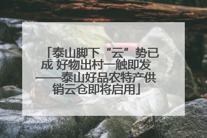 泰山脚下“云”势已成 好物出村一触即发——泰山好品农特产供销云仓即将启用